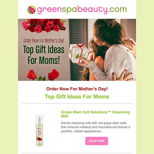 newsletter example 3